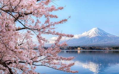 Jak zorganizować wyjazd do Japonii – Praktyczne wskazówki!
