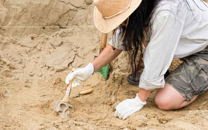 Najważniejsze odkrycia archeologiczne na świecie. Historia, najważniejsze fakty i przewodnik