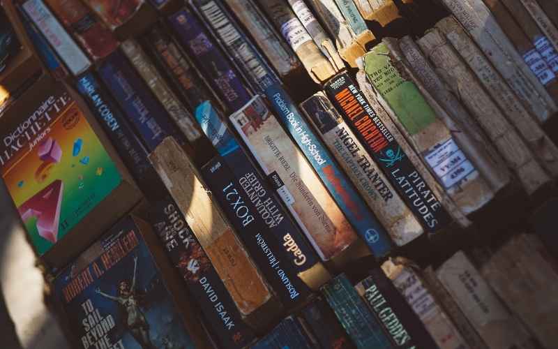 Gatunki literackie rodzaje i przykłady. Historia, najważniejsze fakty i przewodnik