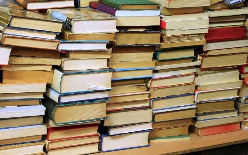 Gatunki literackie rodzaje i przykłady. Historia, najważniejsze fakty i przewodnik